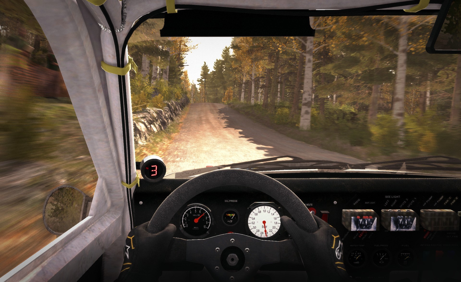 DiRT Rally - Imagen 15